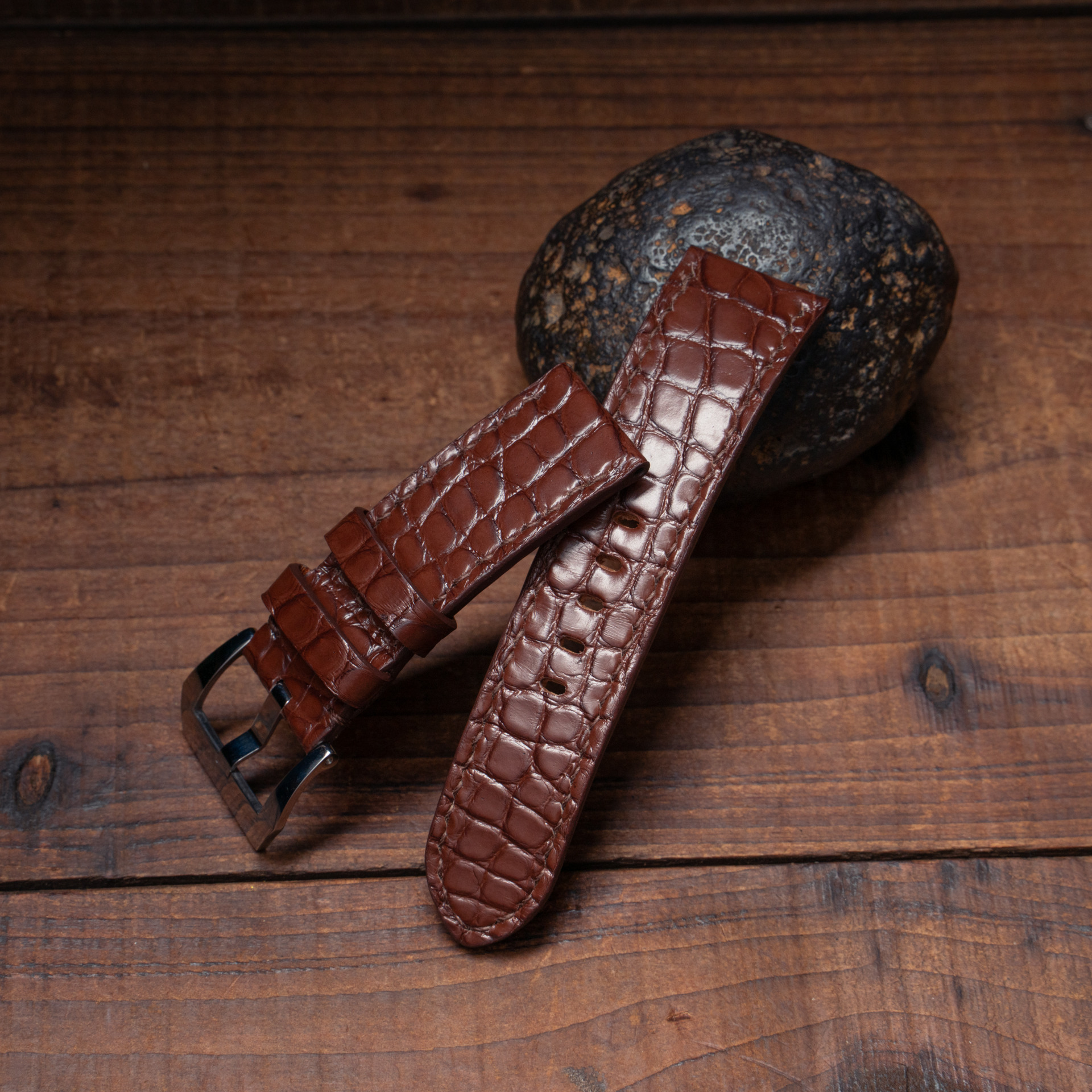 The One Unique Crocodile 06